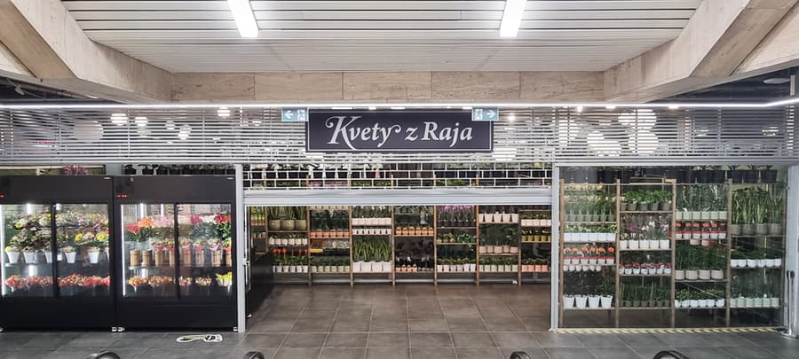 Kvety z Raja TESCO na Kamennom Námestí v Bratislave